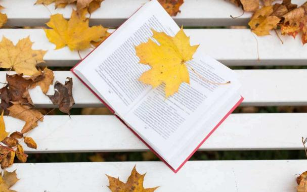  參考文獻究竟應該如(rú)何翻譯